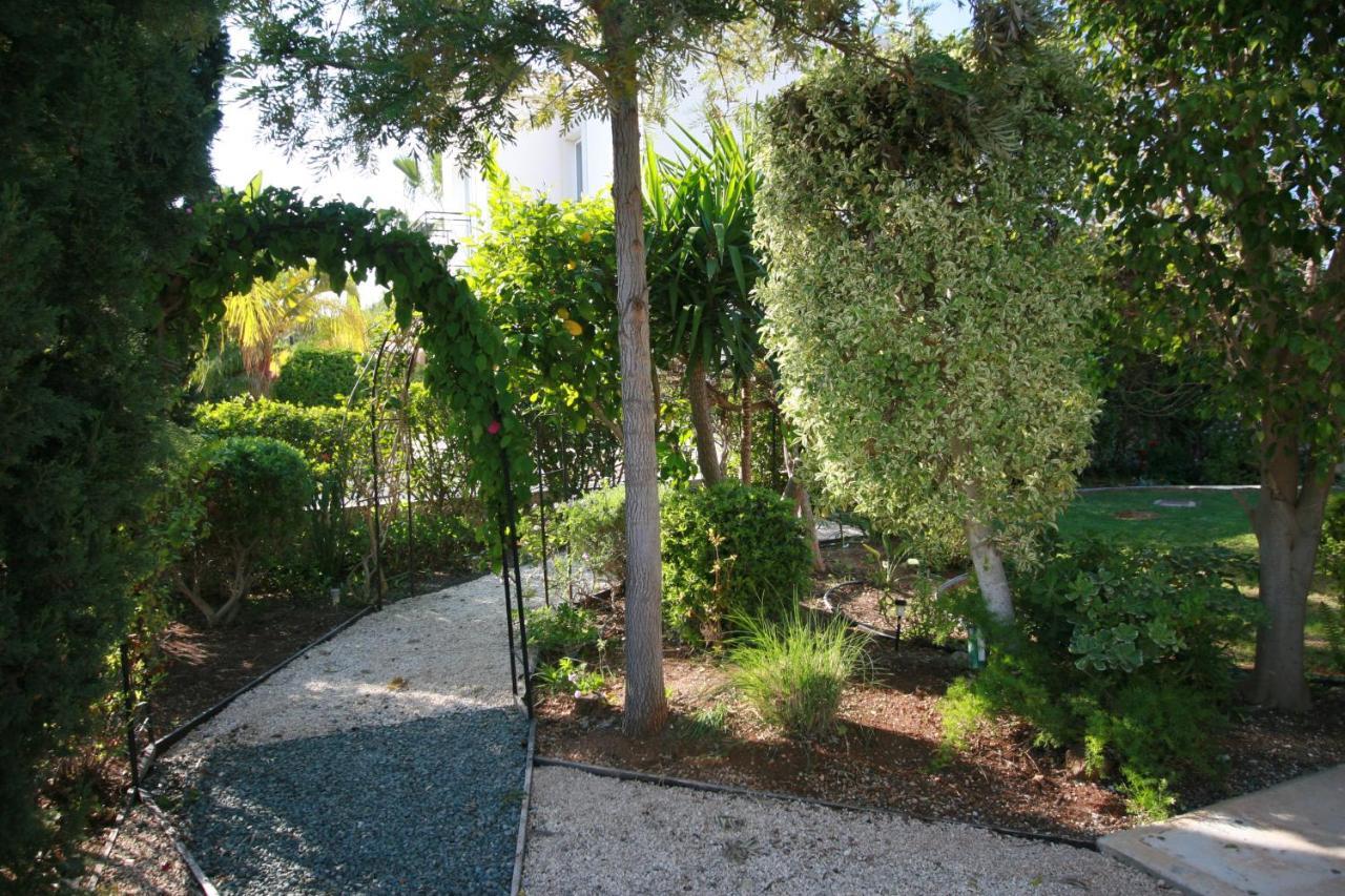 Beach Villa Sofia Neo Chorio Exterior foto